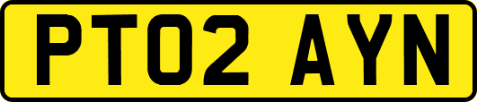 PT02AYN