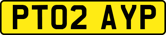 PT02AYP