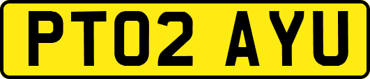 PT02AYU