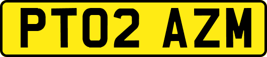 PT02AZM