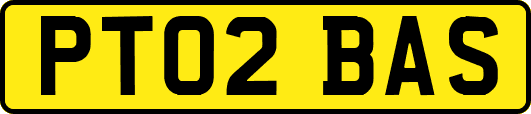 PT02BAS