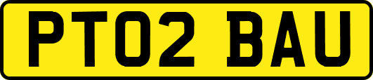 PT02BAU
