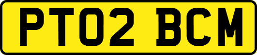 PT02BCM