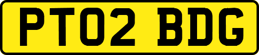 PT02BDG