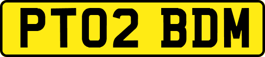 PT02BDM