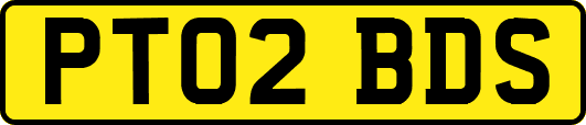 PT02BDS