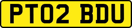 PT02BDU