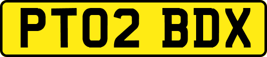 PT02BDX