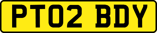 PT02BDY