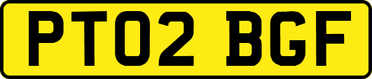 PT02BGF