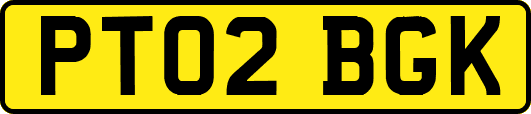 PT02BGK