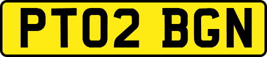 PT02BGN