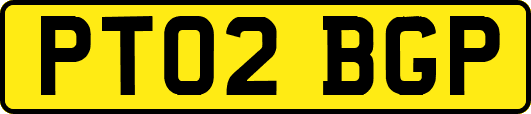 PT02BGP