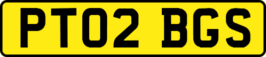 PT02BGS