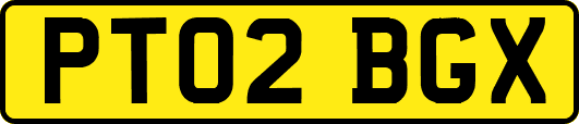 PT02BGX