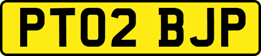 PT02BJP