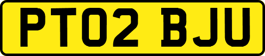 PT02BJU