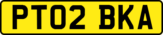 PT02BKA
