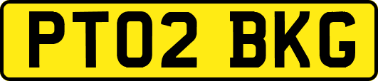 PT02BKG