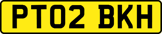 PT02BKH