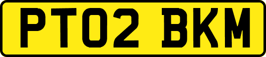PT02BKM