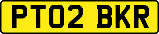 PT02BKR