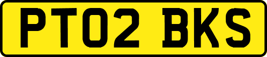 PT02BKS