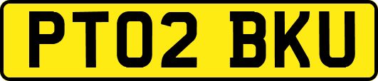 PT02BKU