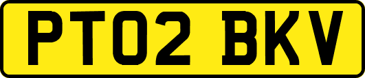 PT02BKV