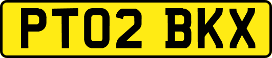 PT02BKX