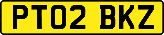 PT02BKZ