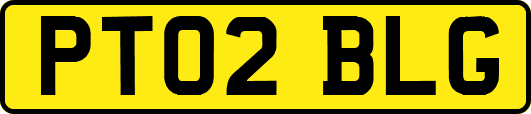 PT02BLG