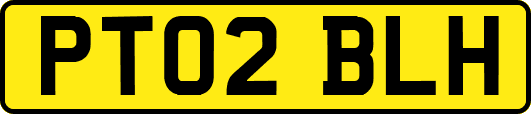 PT02BLH