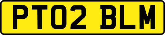 PT02BLM