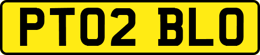 PT02BLO