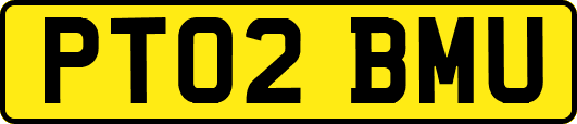 PT02BMU