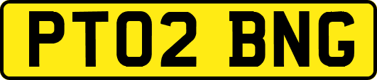 PT02BNG