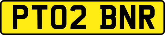 PT02BNR
