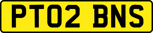PT02BNS