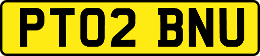 PT02BNU