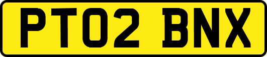 PT02BNX