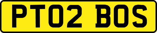 PT02BOS