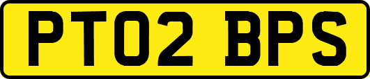 PT02BPS