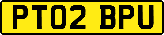 PT02BPU