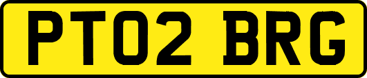 PT02BRG