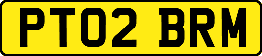 PT02BRM