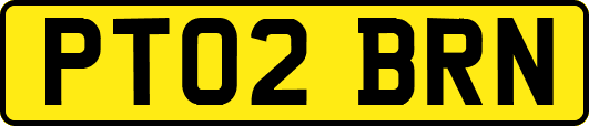 PT02BRN