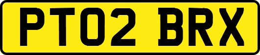 PT02BRX