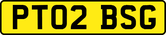 PT02BSG