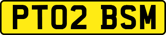 PT02BSM
